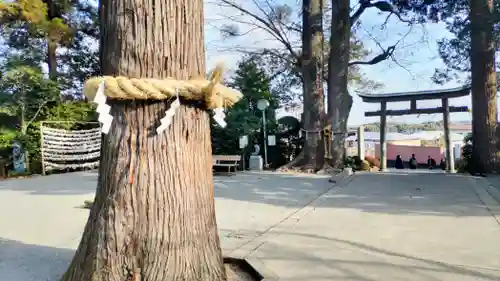 比々多神社(神奈川県)