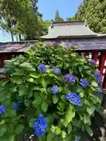 中田神社(宮城県)