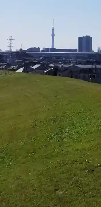 樋野口稲荷神社の周辺