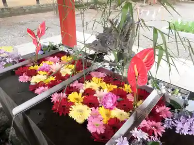 美濃國一宮　南宮大社の手水舎