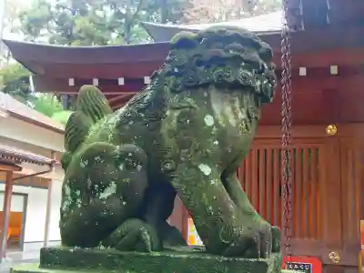 岩槻久伊豆神社の狛犬