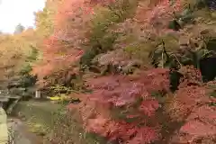 波爾布神社(滋賀県)