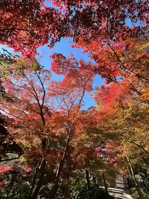 善法律寺(京都府)