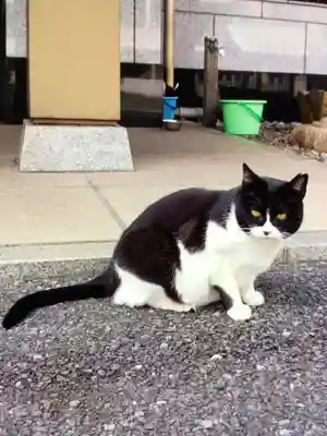 白金氷川神社(東京都)