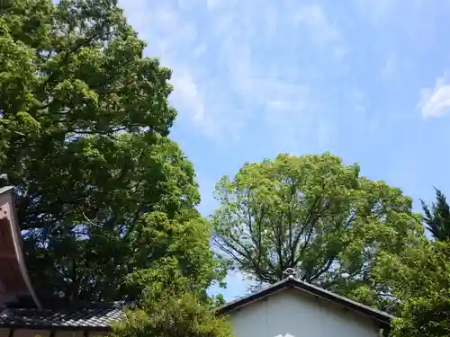刺田比古神社(和歌山県)
