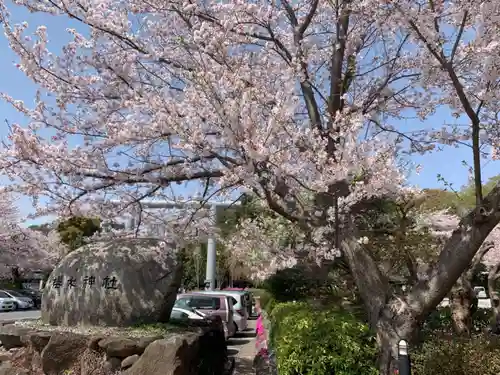 櫻木神社の自然