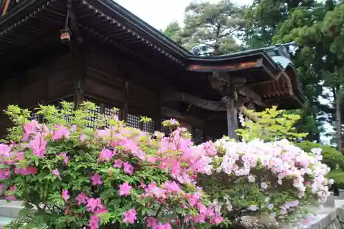 豊景神社の自然