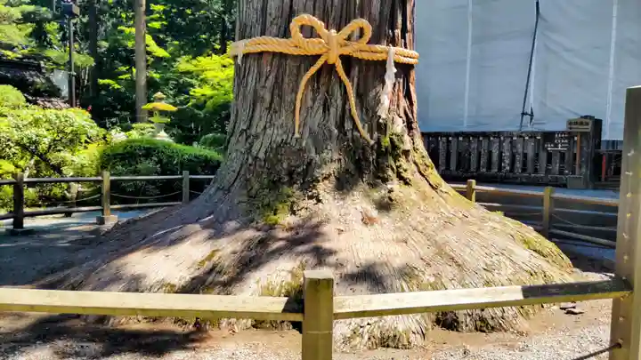北口本宮冨士浅間神社(山梨県)