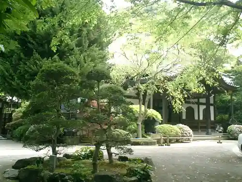 妙本寺の庭園