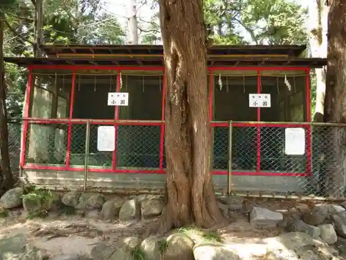 伊古奈比咩命神社の建物その他