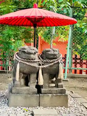 浅草神社の狛犬