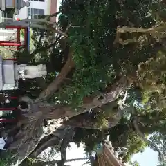 高塚熊野神社(静岡県)