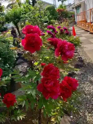 禅定院(東京都)