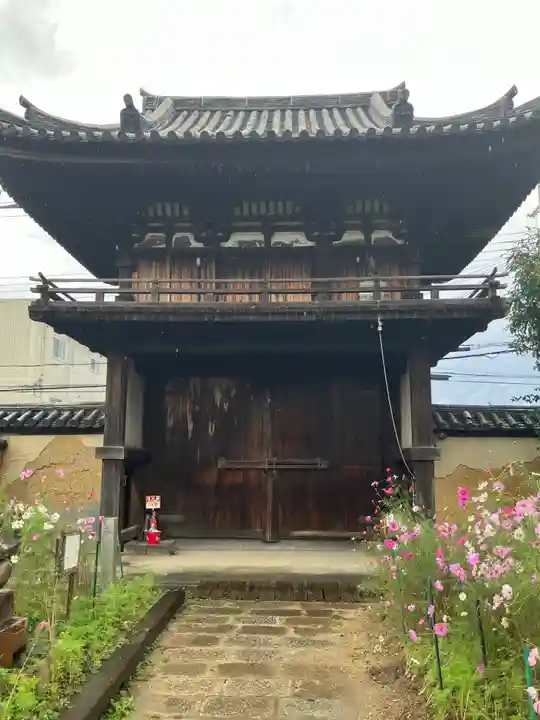 般若寺 ❁コスモス寺❁(奈良県)
