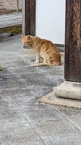 本満寺（本願満足寺）(京都府)