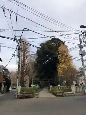 渋谷氷川神社の鳥居