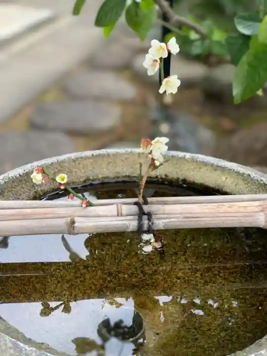 龍泉院の手水舎