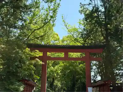 武蔵一宮氷川神社(埼玉県)