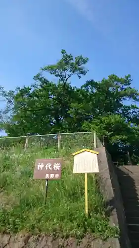 素桜神社の歴史