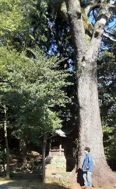居神神社(神奈川県)