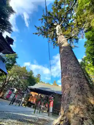 滑川神社 - 仕事と子どもの守り神(福島県)