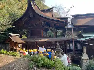 手力雄神社(岐阜県)