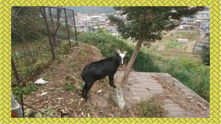 賀茂別雷神社(栃木県)