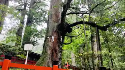 日光二荒山神社(栃木県)