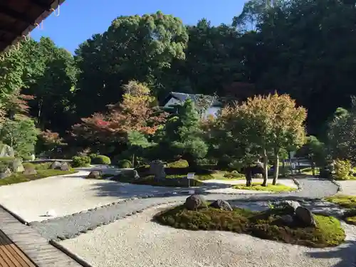 くろ谷 金戒光明寺の庭園