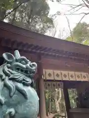 駒木諏訪神社の狛犬