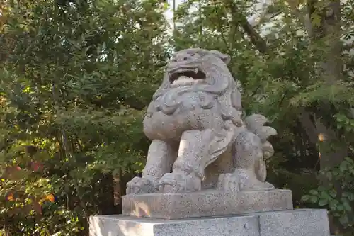 晴明神社の狛犬