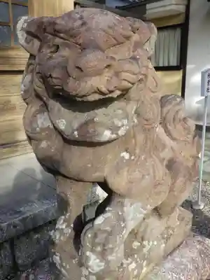 白山神社（小幡）の狛犬