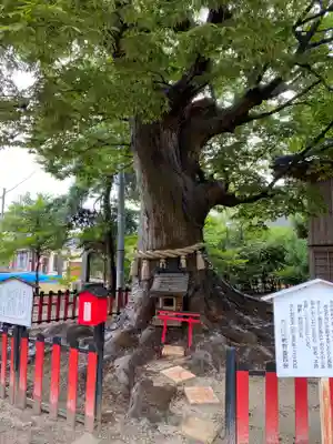 曽根神社(新潟県)