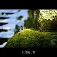 八幡宮の自然