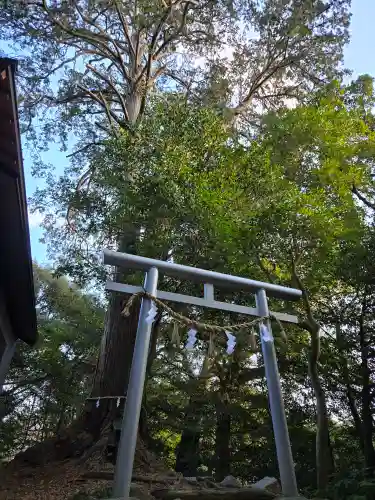 笠子神社(静岡県)
