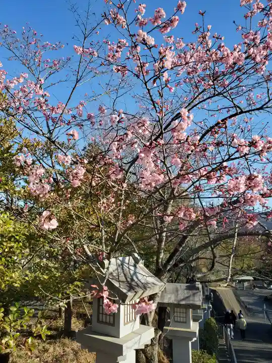 常陸国出雲大社の自然