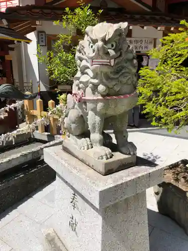 尼崎えびす神社の狛犬