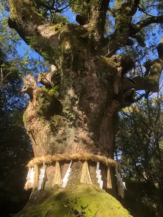 熱田神宮(愛知県)