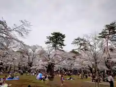 武蔵一宮氷川神社(埼玉県)