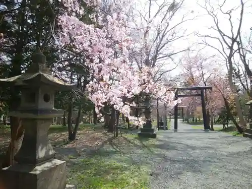 錦山天満宮の自然