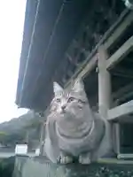 光明寺の動物
