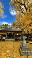 福田神社の{uncategorized: "未分類", other: "その他", undefined: "問題あり", building: "その他建物", grave: "お墓", sacred_gate: "鳥居", guardian: "狛犬", statue: "像", buddha: "仏像", history: "歴史", nature: "自然", garden: "庭園", animal: "動物", pagoda: "塔", temizu: "手水舎", mountain_gate: "山門・神門", sanctuary: "本殿・本堂", subordinate: "末社・摂社", art: "芸術", scenery: "景色", jizo: "地蔵", ema: "絵馬", goshuin: "御朱印", omikuji: "おみくじ", items: "授与品その他", amulet: "お守り", goshuincho: "御朱印帳", eats: "食事", festival: "お祭り", votive_dance: "神楽", shichigosan: "七五三参", wedding: "結婚式", experience: "体験その他", initially: "初詣", around: "周辺", anti_infection: "感染症対策"}