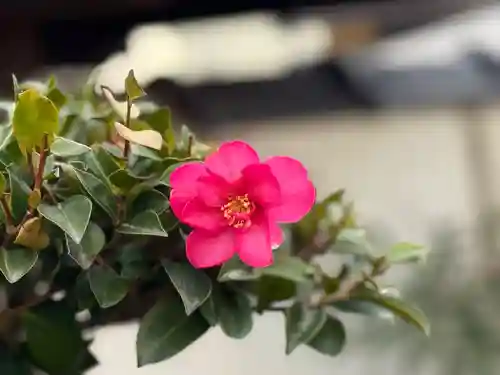 西方山極楽寺(岐阜県)