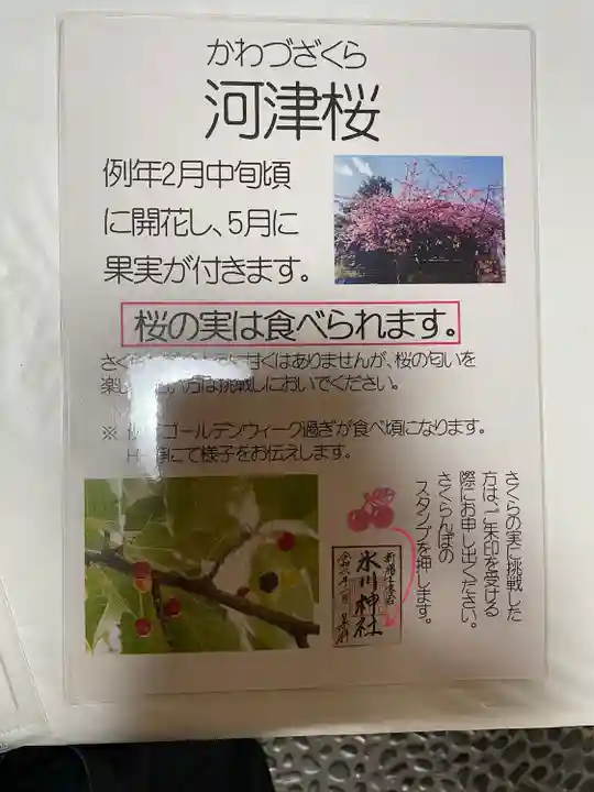 新宿下落合氷川神社(東京都)