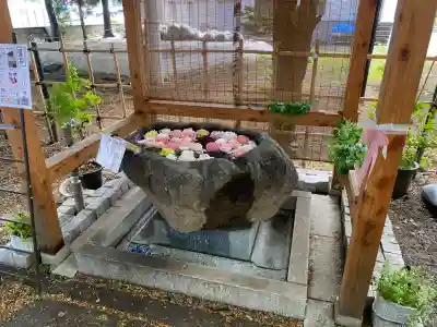 発寒神社(北海道)