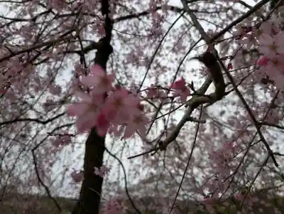 阿久津「田村神社」（郡山市阿久津町）旧社名：伊豆箱根三嶋三社の{uncategorized: "未分類", other: "その他", undefined: "問題あり", building: "その他建物", grave: "お墓", sacred_gate: "鳥居", guardian: "狛犬", statue: "像", buddha: "仏像", history: "歴史", nature: "自然", garden: "庭園", animal: "動物", pagoda: "塔", temizu: "手水舎", mountain_gate: "山門・神門", sanctuary: "本殿・本堂", subordinate: "末社・摂社", art: "芸術", scenery: "景色", jizo: "地蔵", ema: "絵馬", goshuin: "御朱印", omikuji: "おみくじ", items: "授与品その他", amulet: "お守り", goshuincho: "御朱印帳", eats: "食事", festival: "お祭り", votive_dance: "神楽", shichigosan: "七五三参", wedding: "結婚式", experience: "体験その他", initially: "初詣", around: "周辺", anti_infection: "感染症対策"}