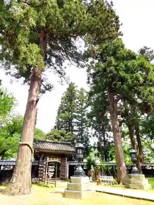 守りの神　藤基神社(新潟県)