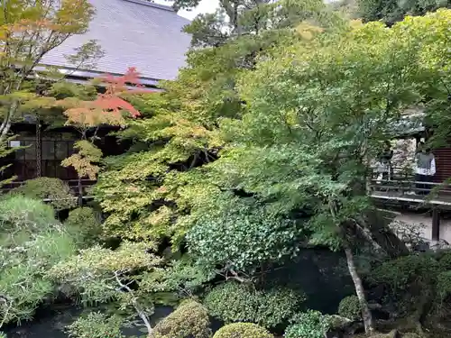 禅林寺（永観堂）(京都府)