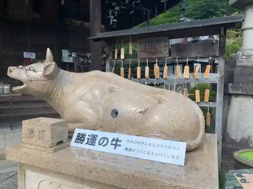 三室戸寺の狛犬