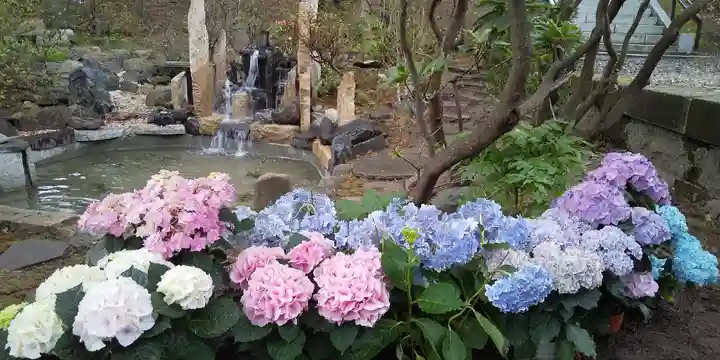 上川神社の庭園